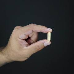 Glucosamine & Chondroitin | PROTECT® | PRIMAL PHARM™