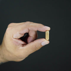 Mushroom Supplement - SHROOM® - Primal Pharm