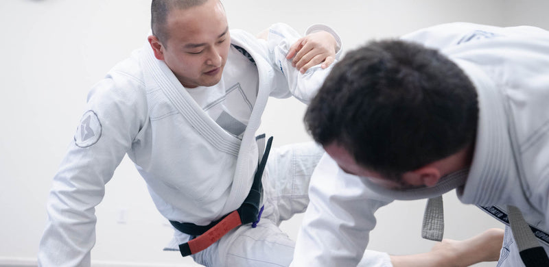 Top 10 Natural Herbs for Jiu Jitsu Flow State